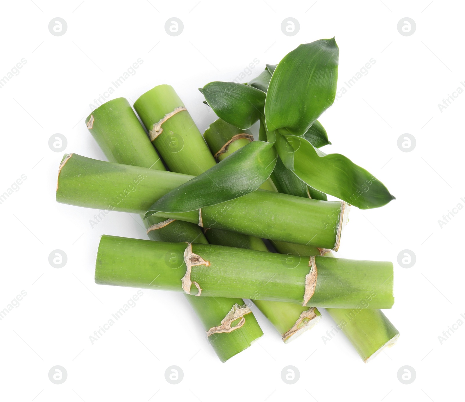 Photo of Pieces of beautiful green bamboo stems on white background, top view