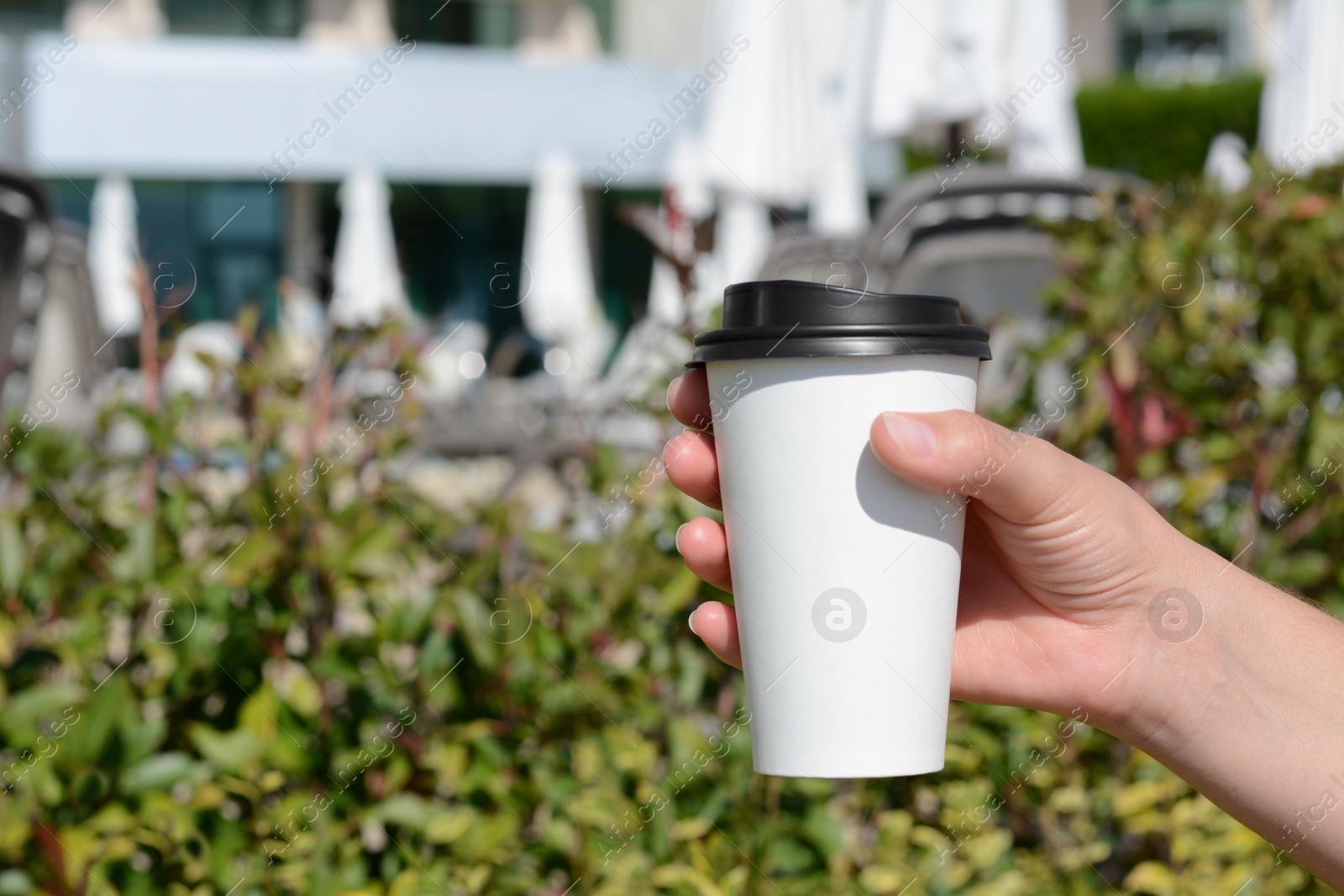 Photo of Woman holding takeaway coffee cup outdoors, closeup. Space for text