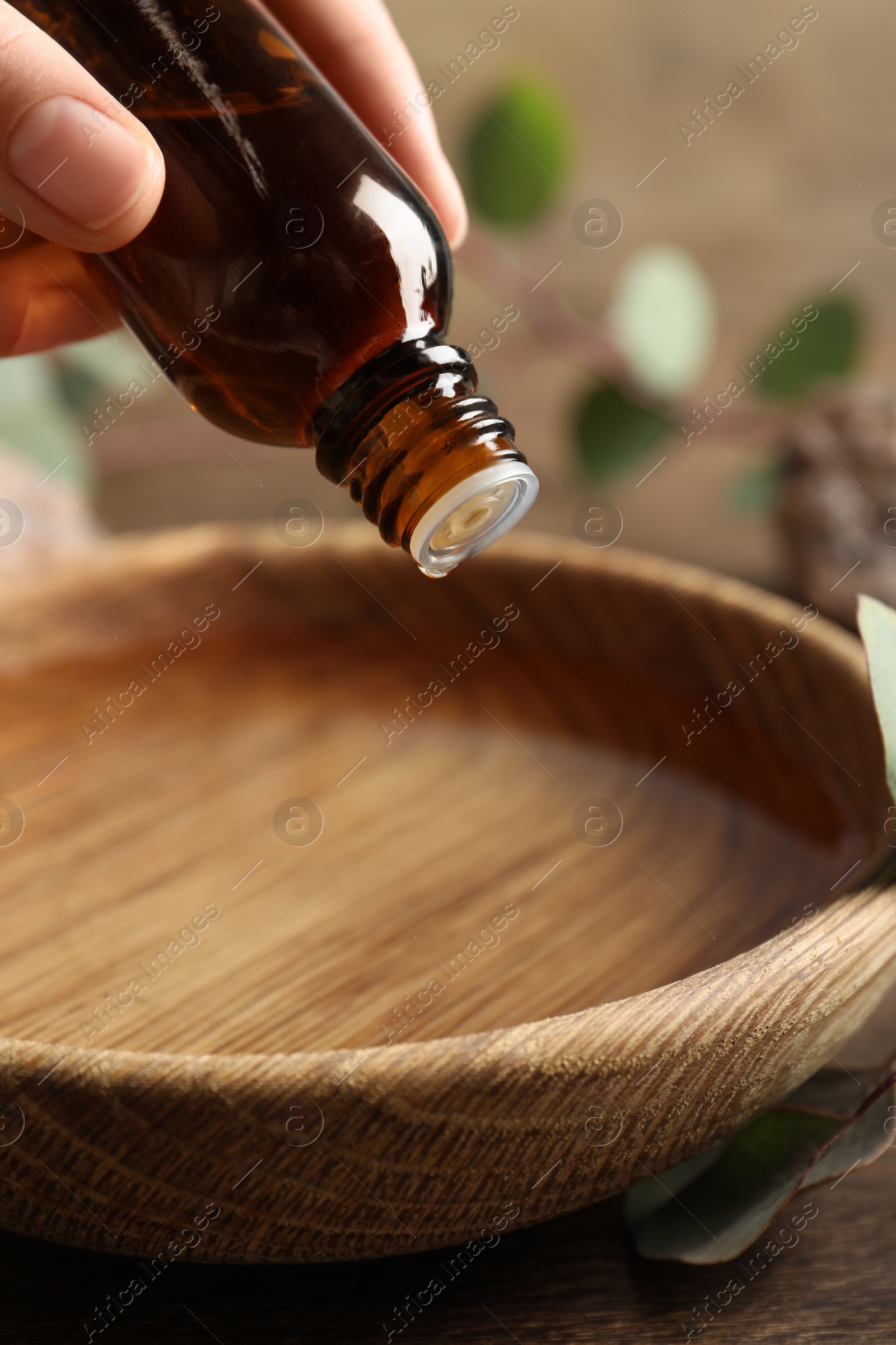 Photo of Woman dripping eucalyptus essential oil from bottle into bowl at wooden table, closeup