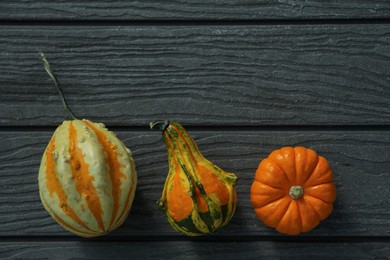 Many different pumpkins on wooden table, flat lay. Space for text