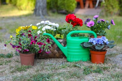 Beautiful blooming flowers and watering can on green grass in garden