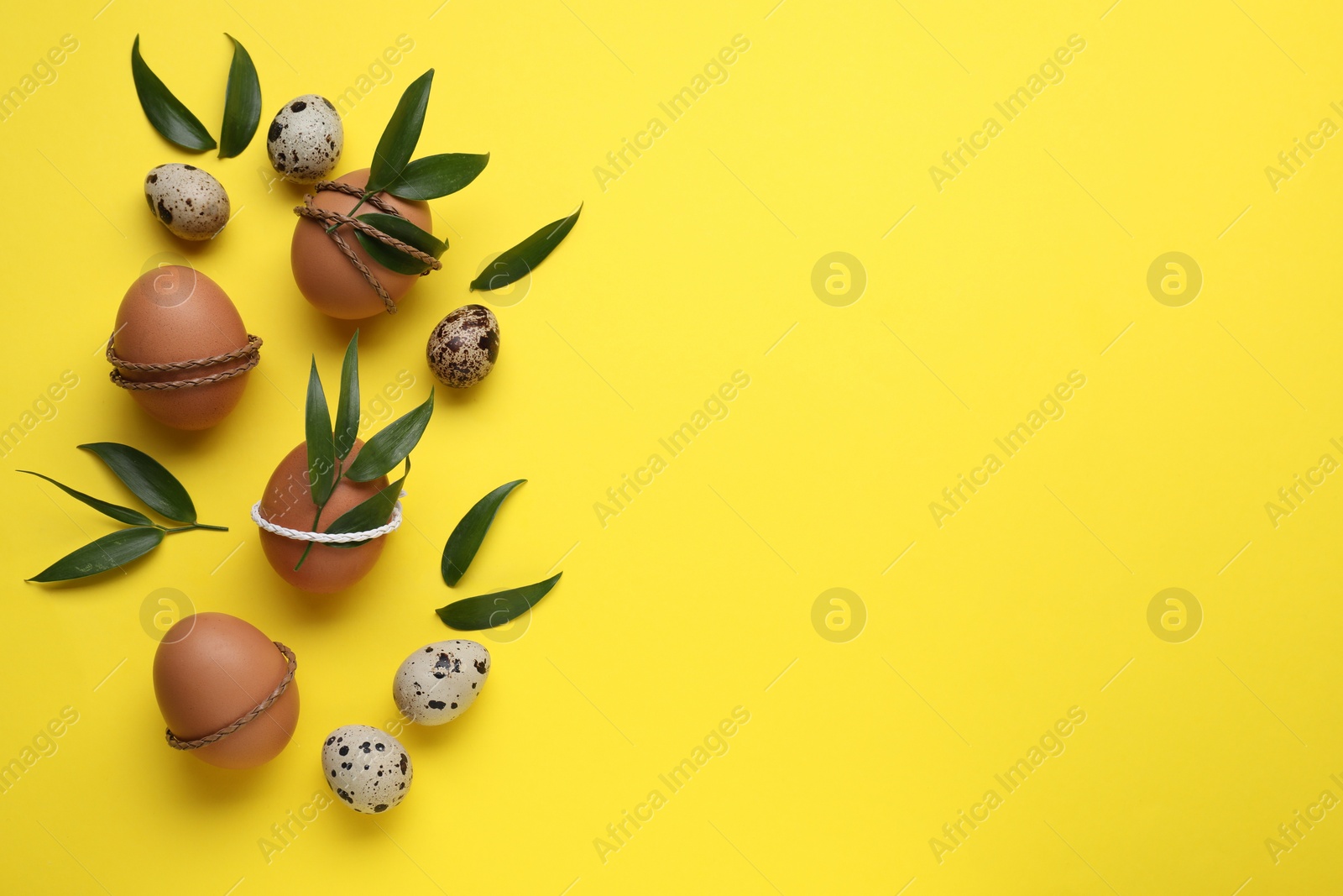 Photo of Easter eggs decorated with green leaves on yellow background, flat lay. Space for text