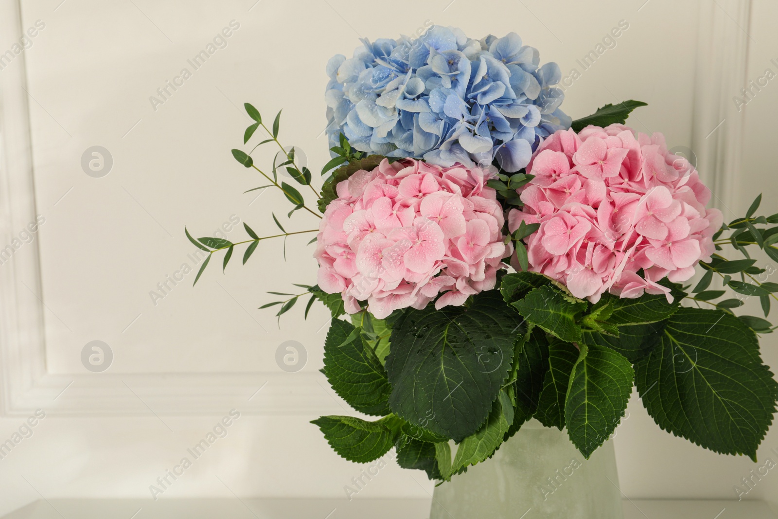 Photo of Beautiful hortensia flowers in vase near white wall. Space for text