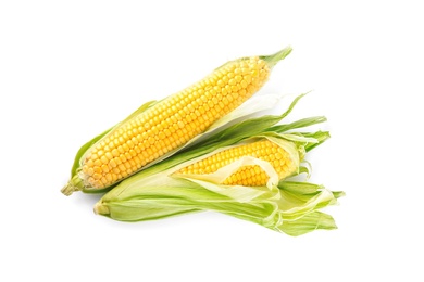 Photo of Ripe raw corn cobs with husk on white background