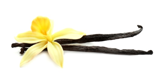 Aromatic vanilla sticks and flower on white background