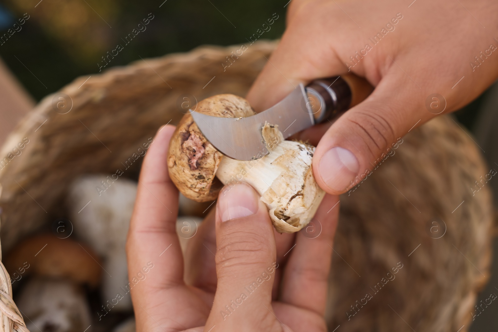 Photo of Man peeling mushroom with knife over basket, closeup