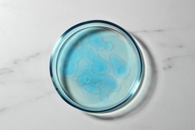 Photo of Petri dish with liquid on white marble table, top view
