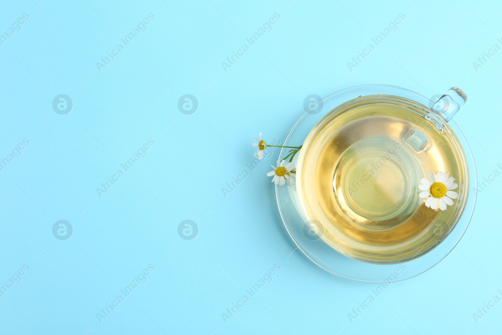 Photo of Delicious chamomile tea in glass cup on light blue background, top view. Space for text