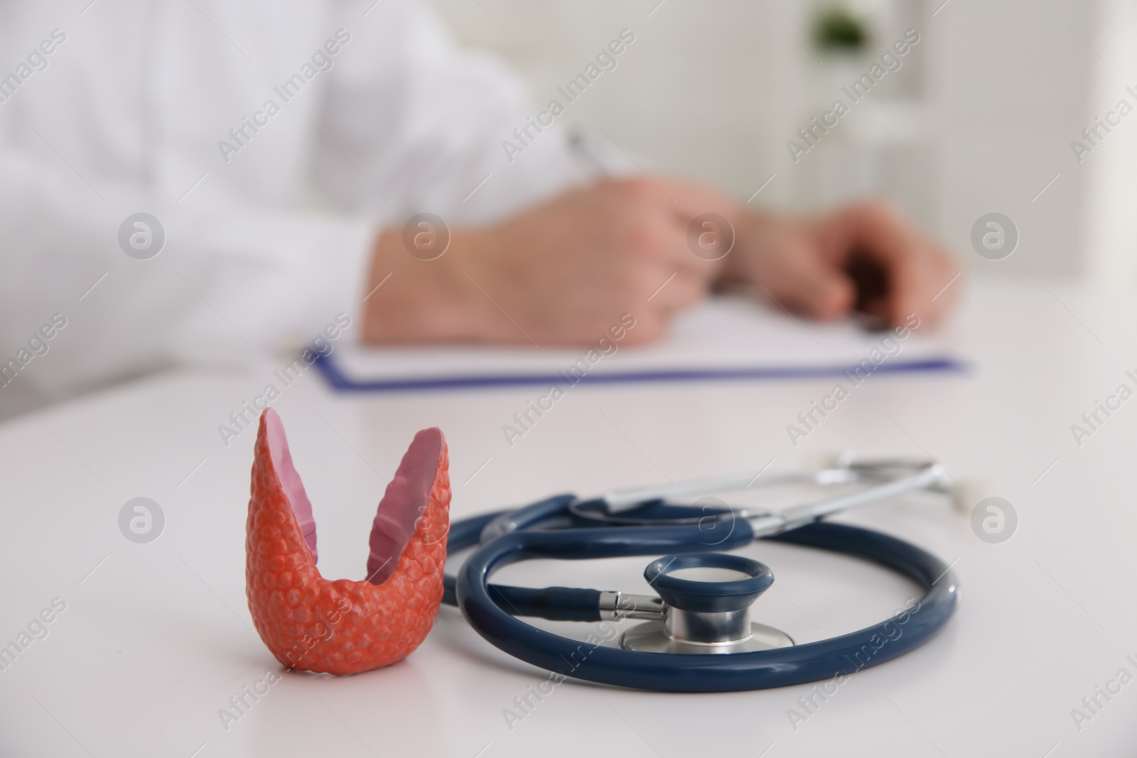 Photo of Thyroid gland model and stethoscope on table indoors