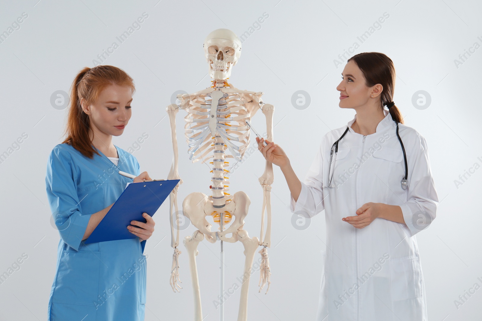 Photo of Professional orthopedist with human skeleton model teaching medical student against light background