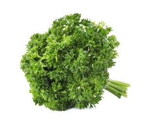 Photo of Bunch of fresh green parsley on white background