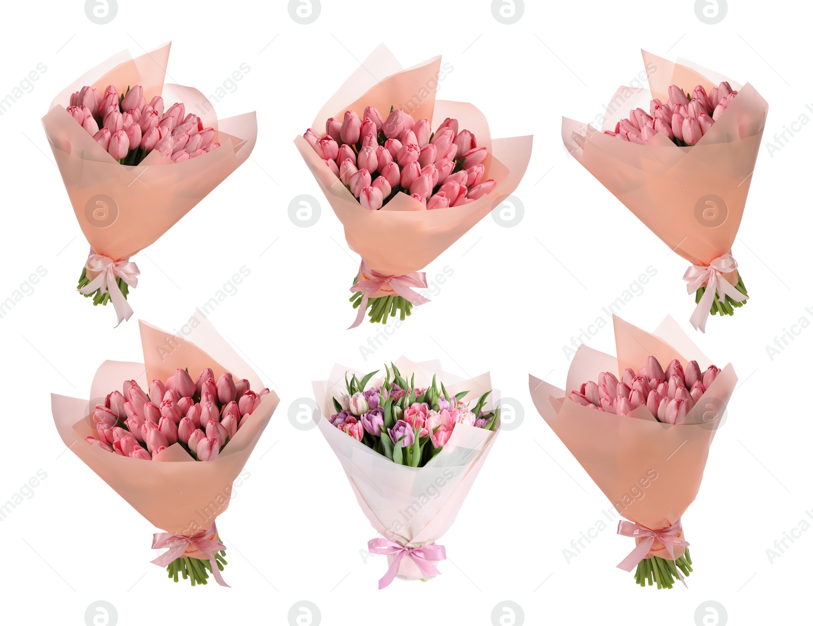 Image of Beautiful bouquets of tulip flowers isolated on white, set