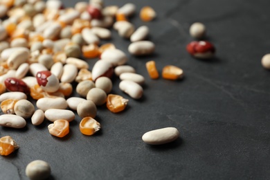Mixed vegetable seeds on grey background, closeup