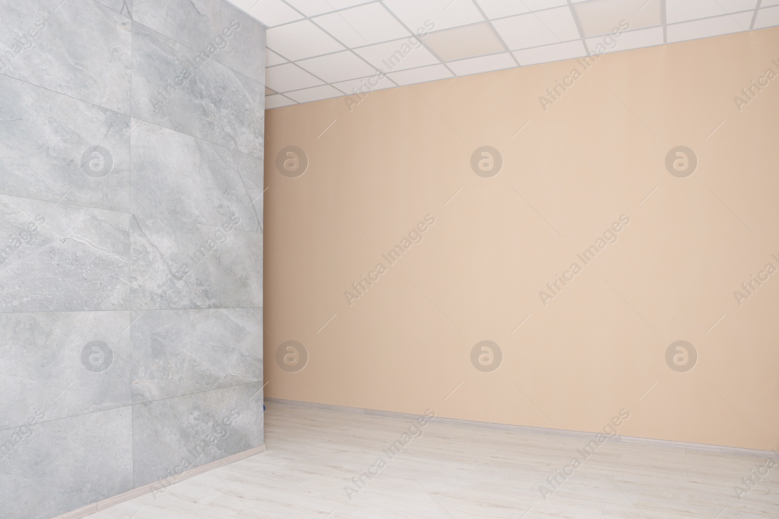 Photo of Empty office room with color walls. Interior design