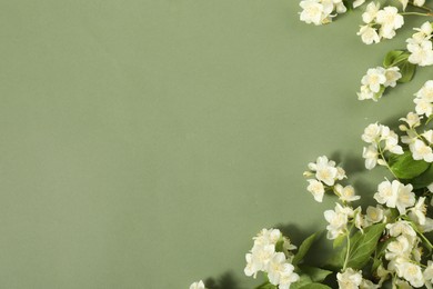 Photo of Beautiful jasmine flowers and leaves on pale green background, flat lay. Space for text