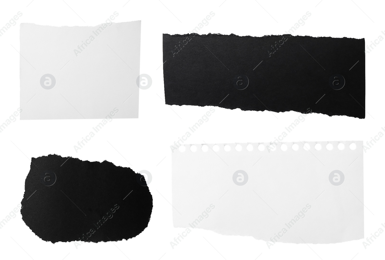 Image of Set of different ripped notebook papers on white background