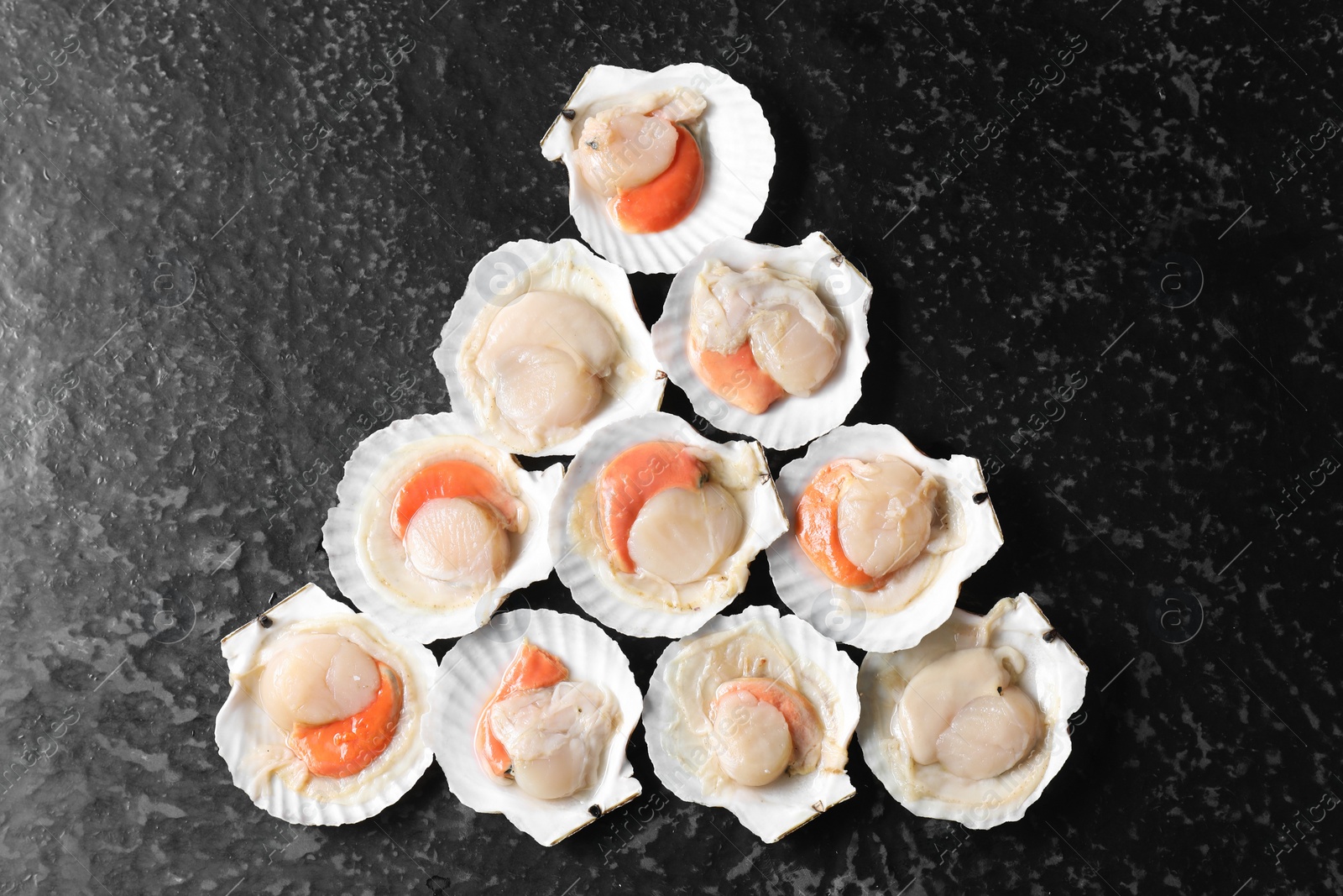 Photo of Fresh raw scallops with shells on black textured table, flat lay