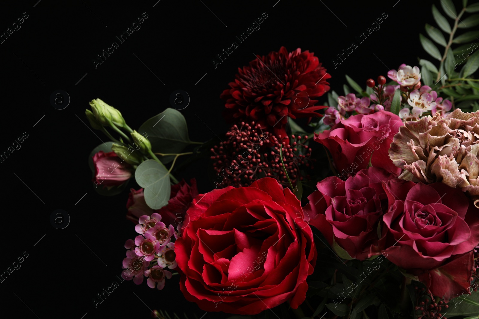 Photo of Beautiful fresh flowers on dark background, closeup