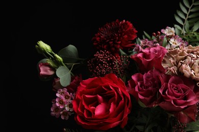 Beautiful fresh flowers on dark background, closeup