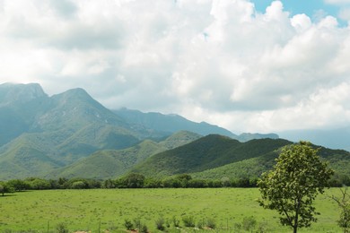 Picturesque view of mountains and green meadow