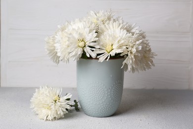 Beautiful chrysanthemum flowers in vase on grey table