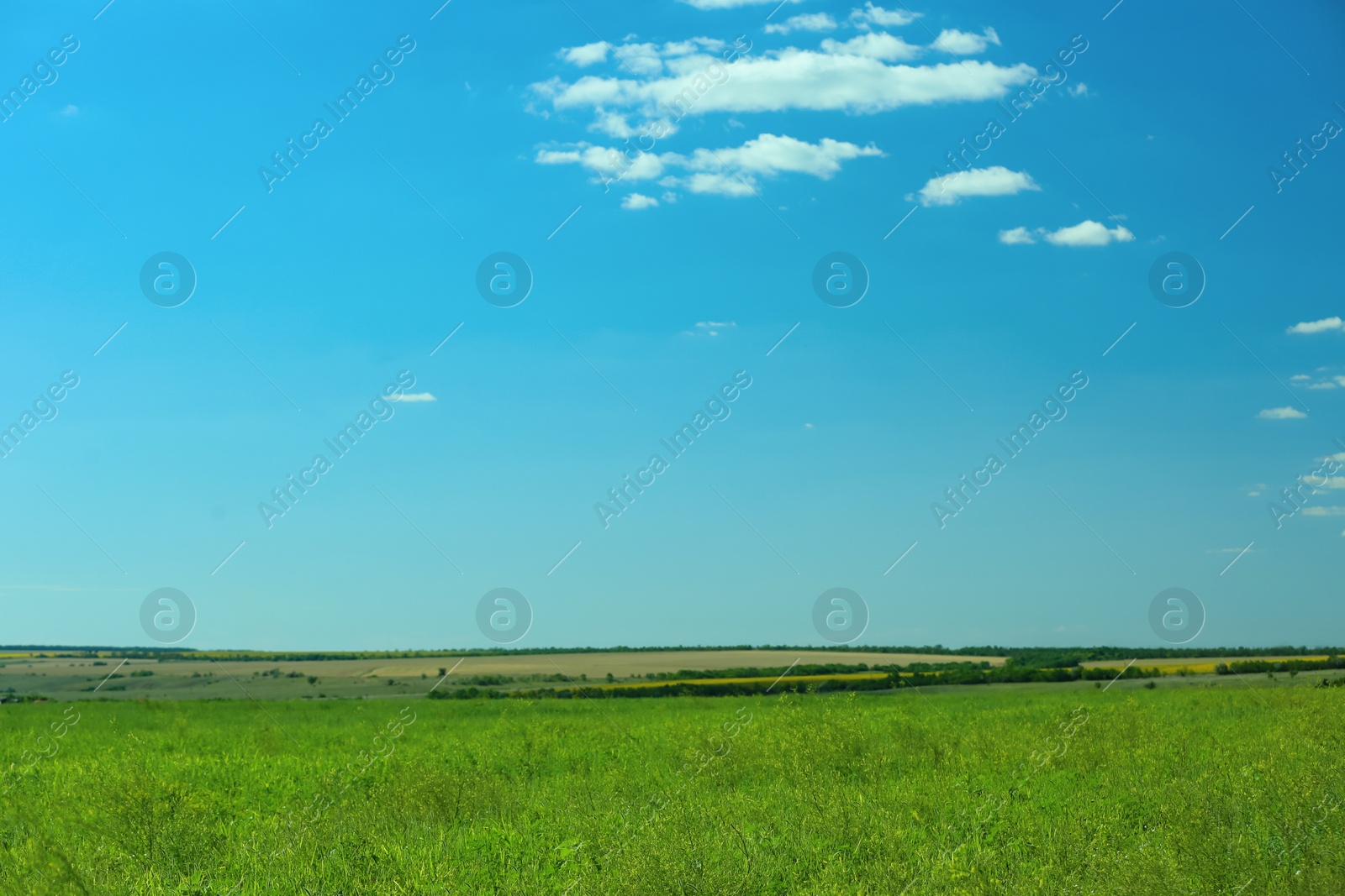 Photo of Beautiful landscape with green grass on sunny day