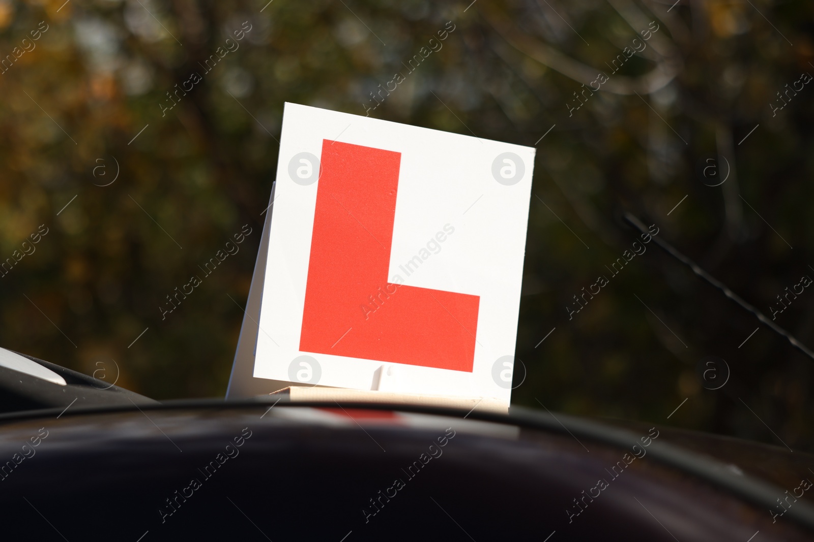 Photo of L-plate on car roof outdoors. Driving school