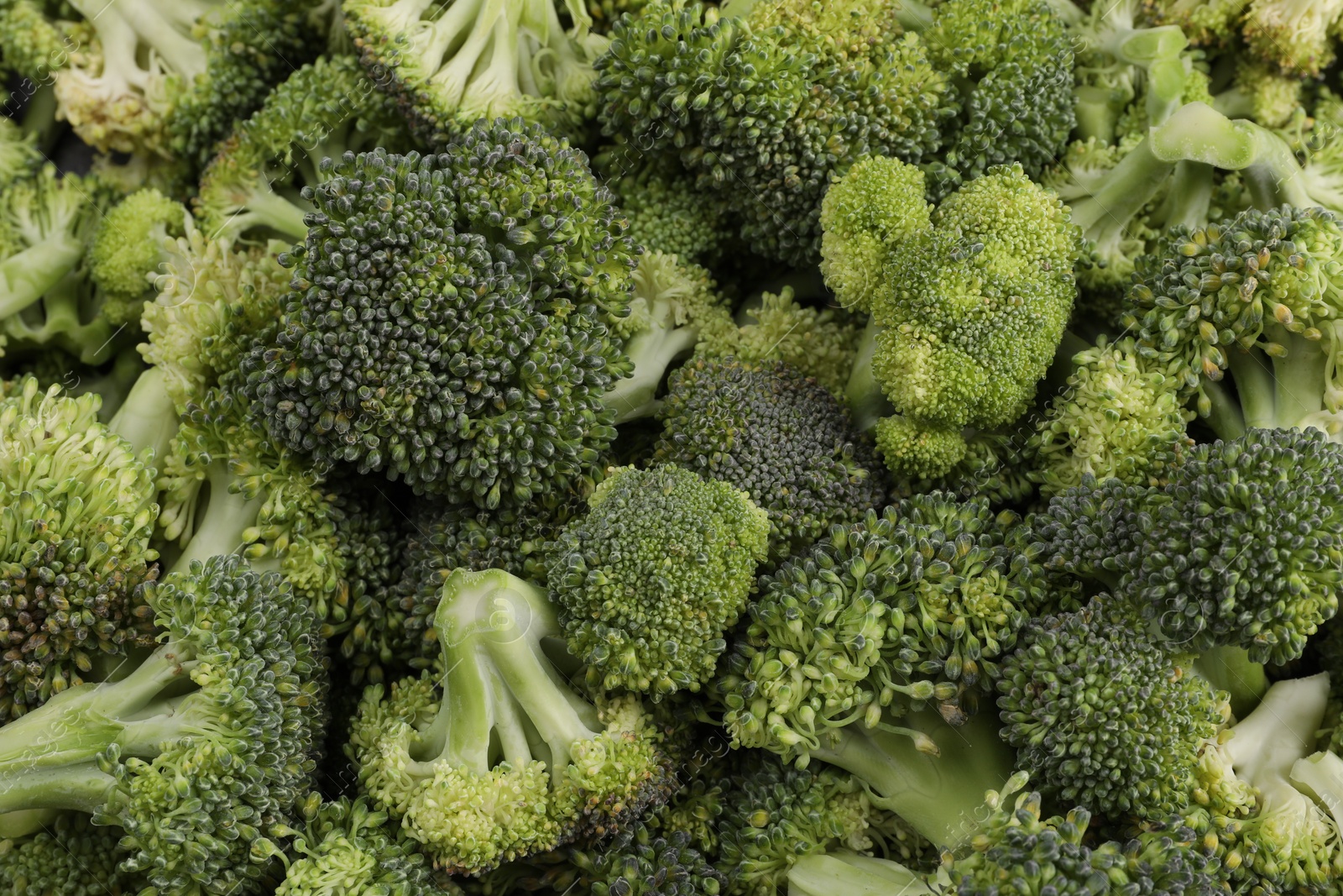 Photo of Fresh raw broccoli as background, top view