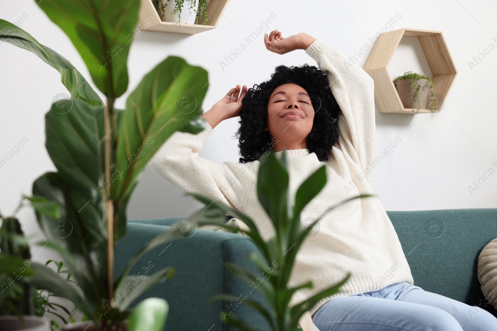 Photo of Woman relaxing on sofa near beautiful houseplants at home