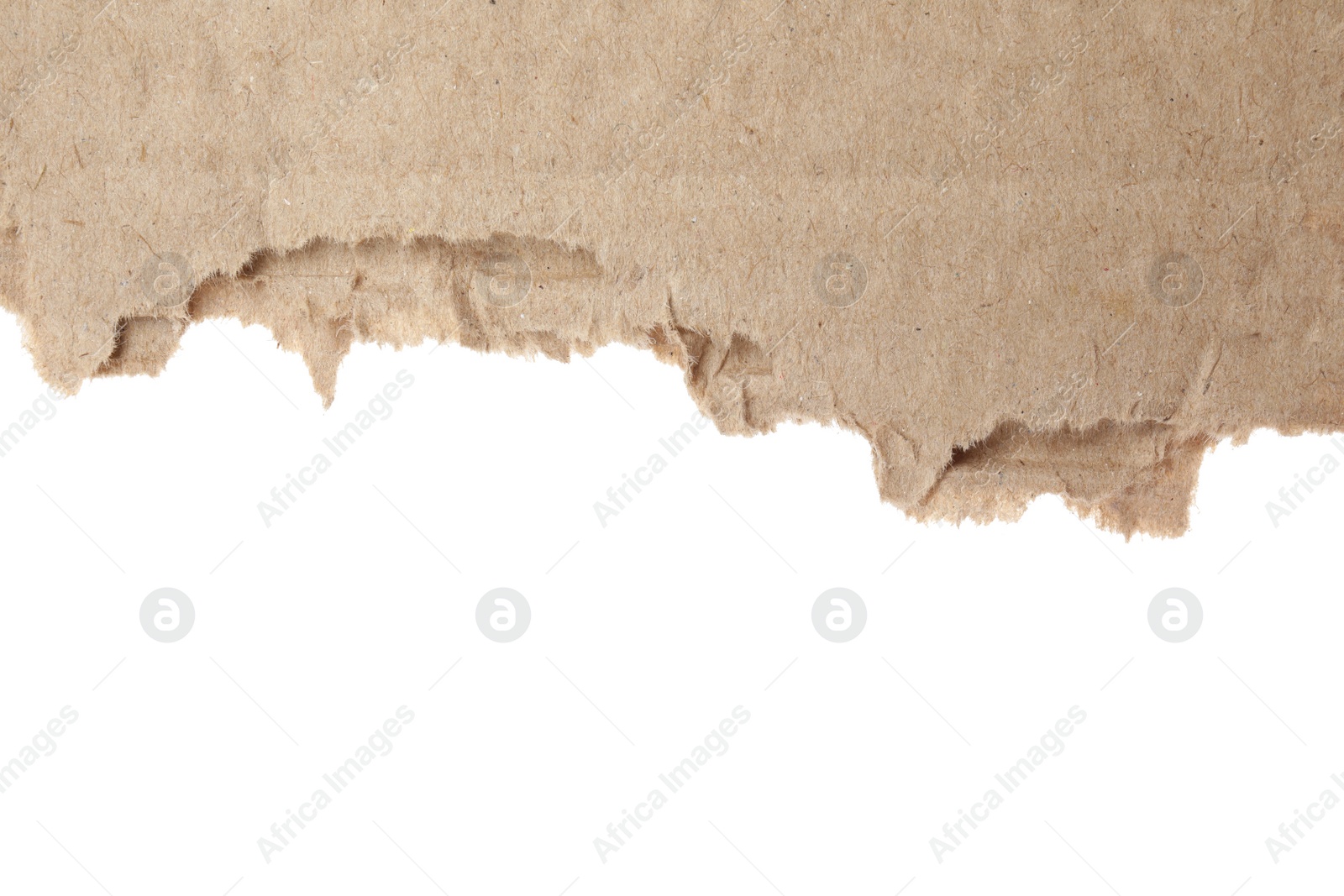 Photo of Piece of torn cardboard isolated on white