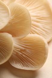 Photo of Fresh oyster mushrooms on beige background, macro view
