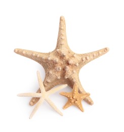 Photo of Beautiful sea stars (starfishes) isolated on white