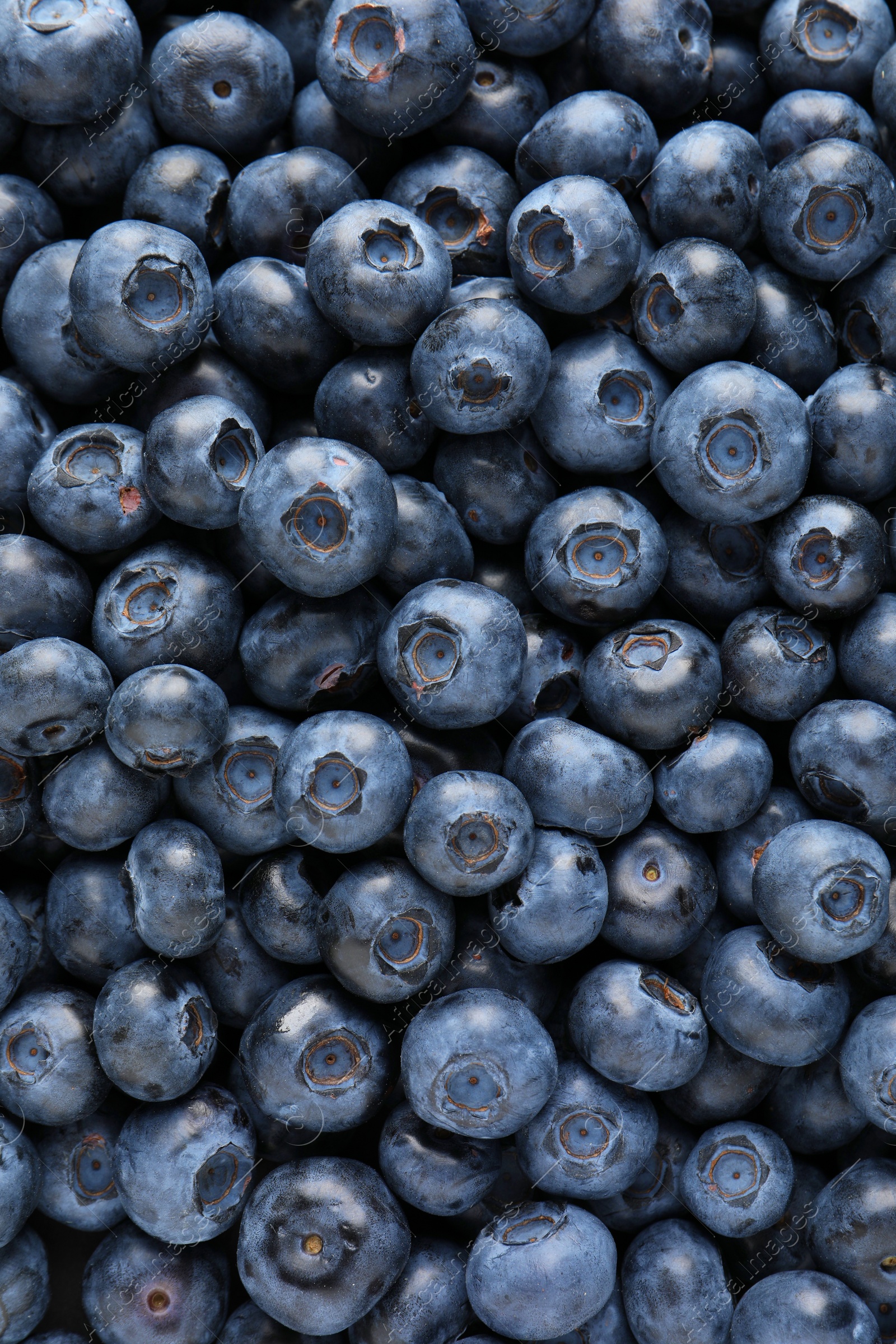 Photo of Tasty fresh blueberries as background, top view