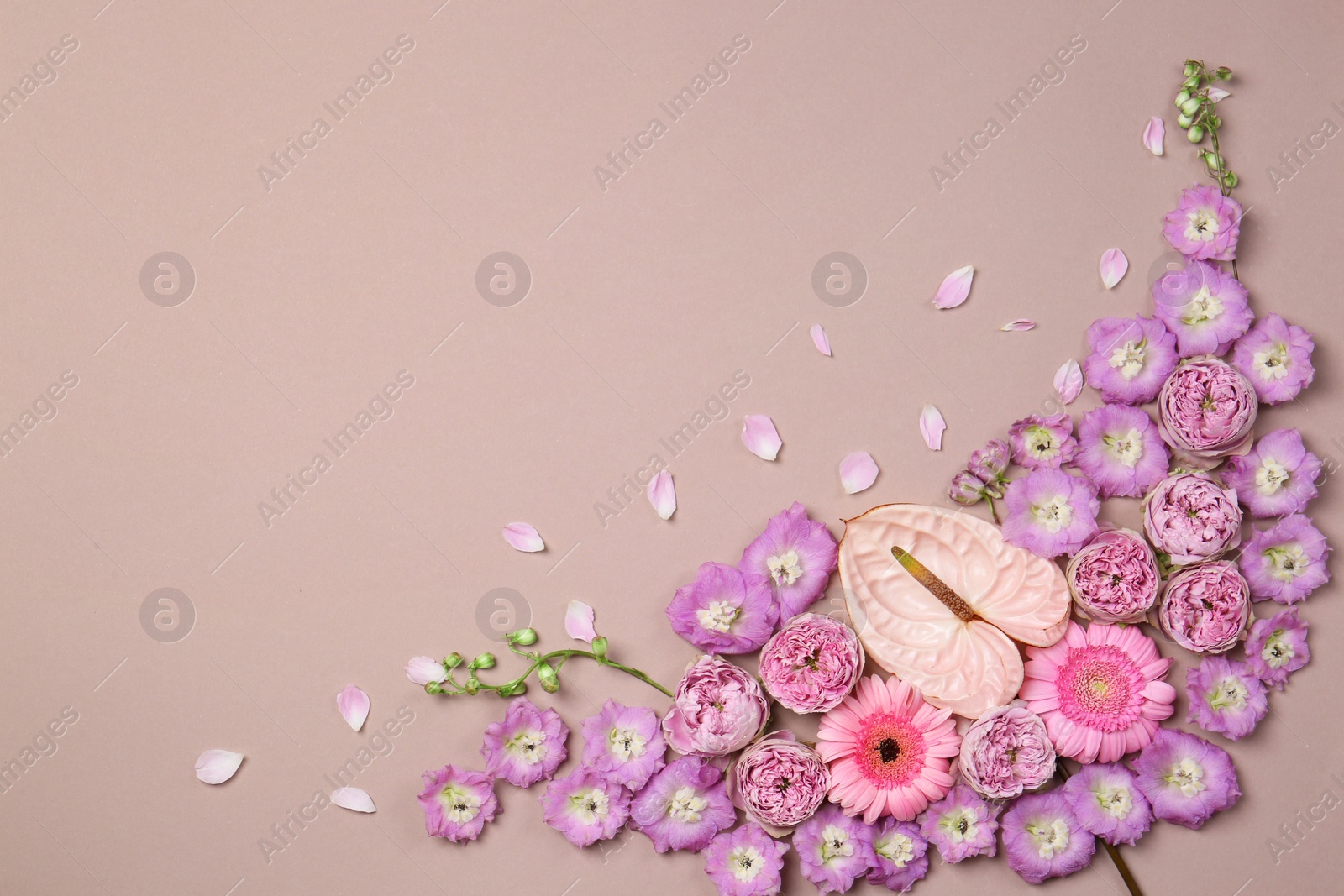 Photo of Flat lay composition with different beautiful flowers on beige background, space for text