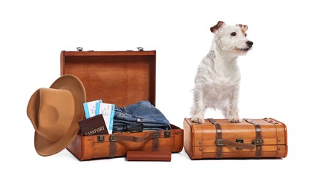 Travel with pet. Dog, clothes and suitcases on white background