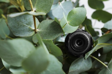 Photo of Small camera hidden in green houseplant foliage, closeup