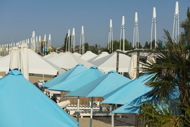 Many beach umbrellas and sunbeds at resort