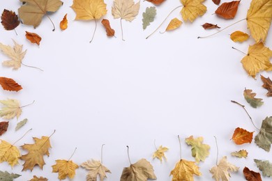 Frame of dry autumn leaves on white background, flat lay. Space for text