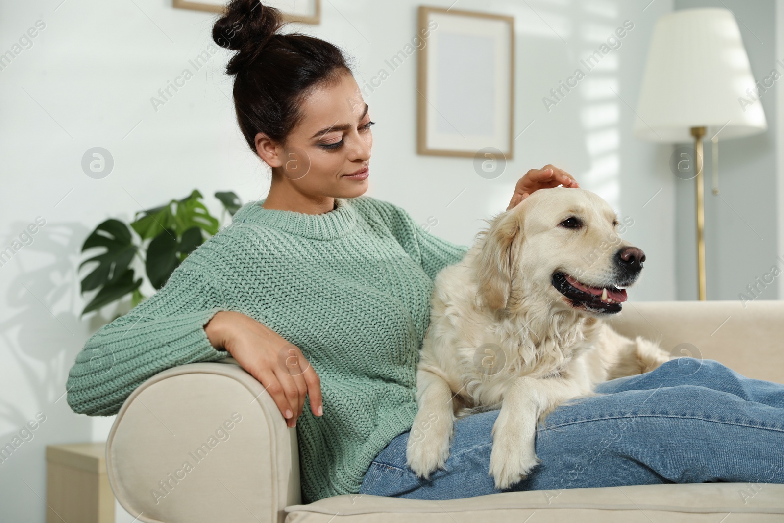 Photo of Young woman and her Golden Retriever on sofa at home. Adorable pet