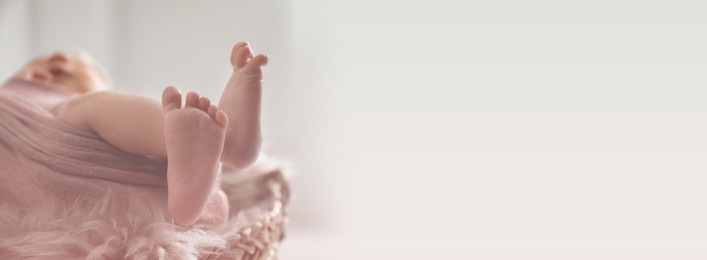 Image of Cute newborn baby lying in wicker basket, closeup view with space for text. Banner design