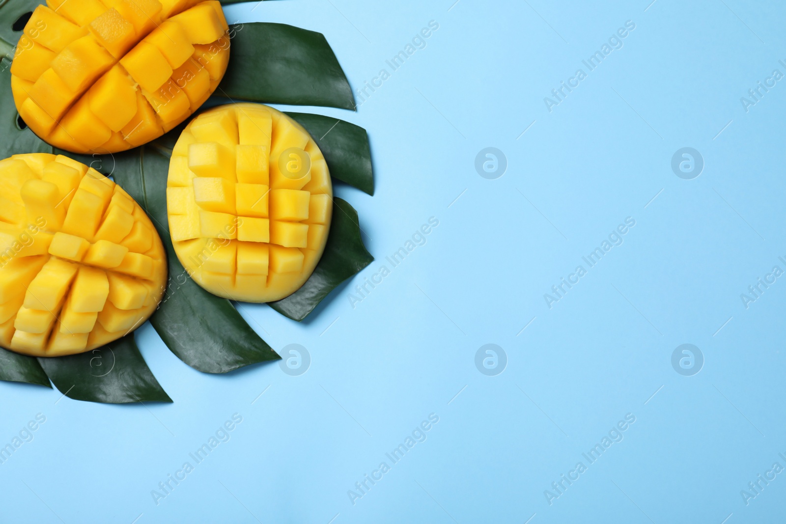 Photo of Cut fresh ripe mango fruits and leaf on light blue background, flat lay. Space for text