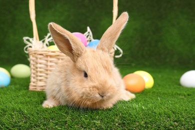 Adorable furry Easter bunny near wicker basket and dyed eggs on green grass