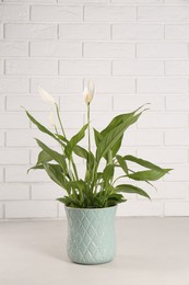 Photo of Beautiful spathiphyllum on light grey table against white brick wall. House decor