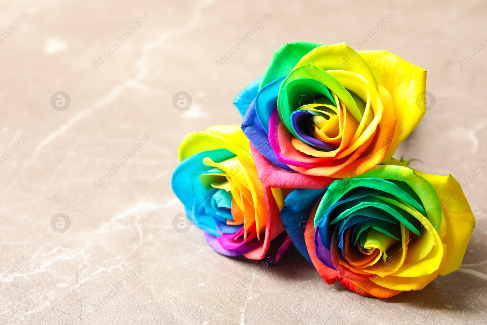 Photo of Amazing rainbow rose flowers on table