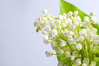Photo of Beautiful lily of the valley flowers with leaves on light grey background, closeup. Space for text