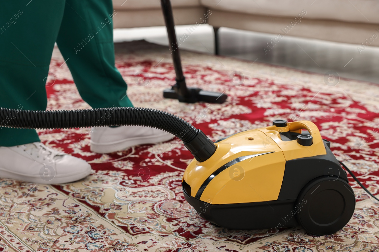 Photo of Dry cleaner's employee hoovering carpet with vacuum cleaner indoors, closeup