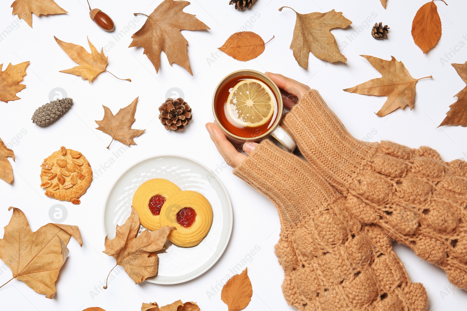 Photo of Woman in autumn sweater holding cup of hot cozy drink on white background, top view