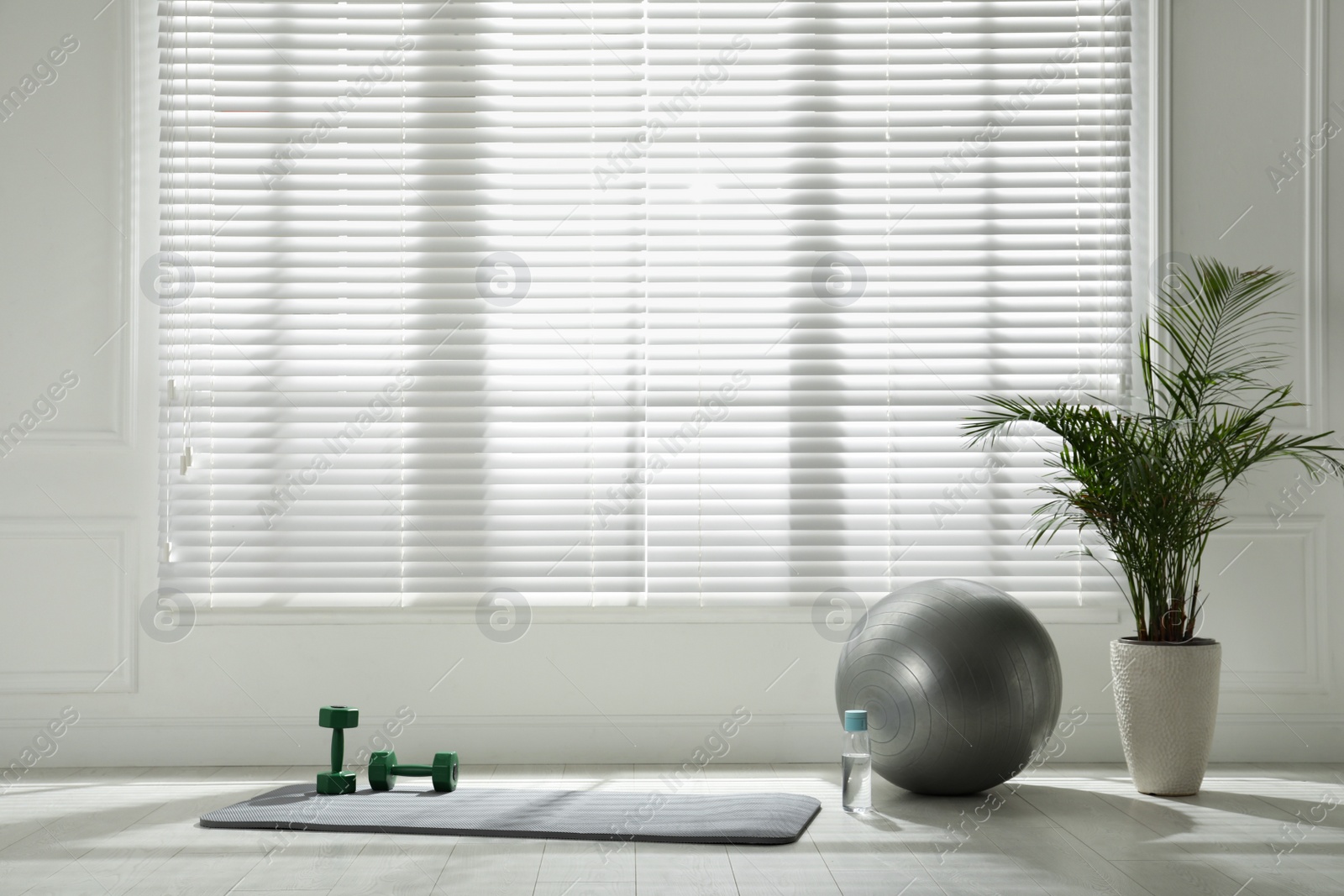 Photo of Exercise mat, dumbbells, fitness ball and houseplant near window in spacious room