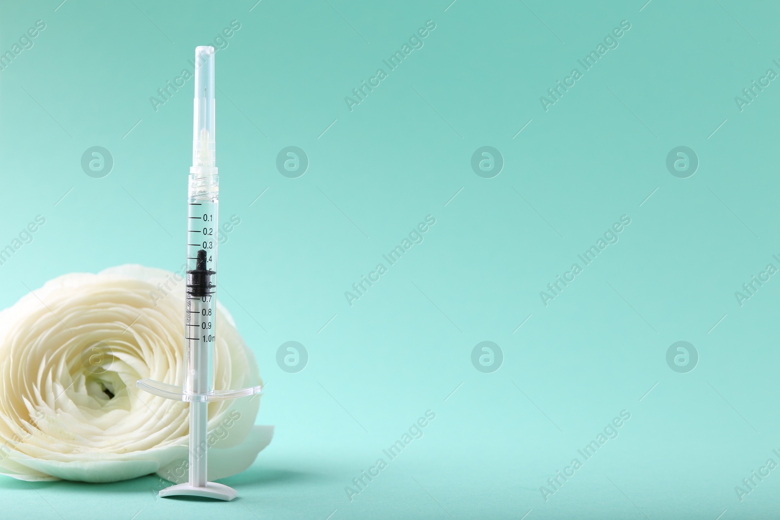 Photo of Cosmetology. Medical syringe and ranunculus flower on turquoise background, space for text