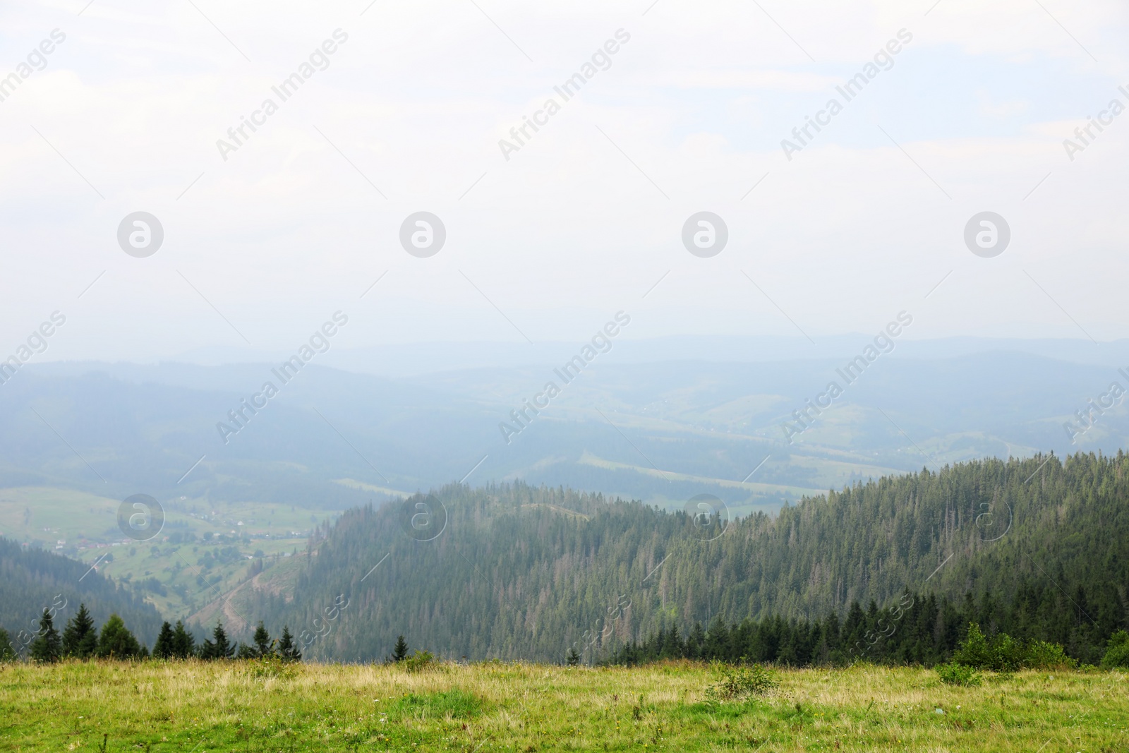 Photo of Picturesque landscape with mountain forest